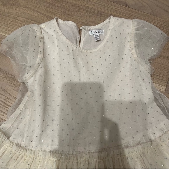 Livly fairy dress size 2-3 - Picture 3 of 5
